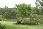 Balnagowanresidential-landscaping-40.jpg; ?>